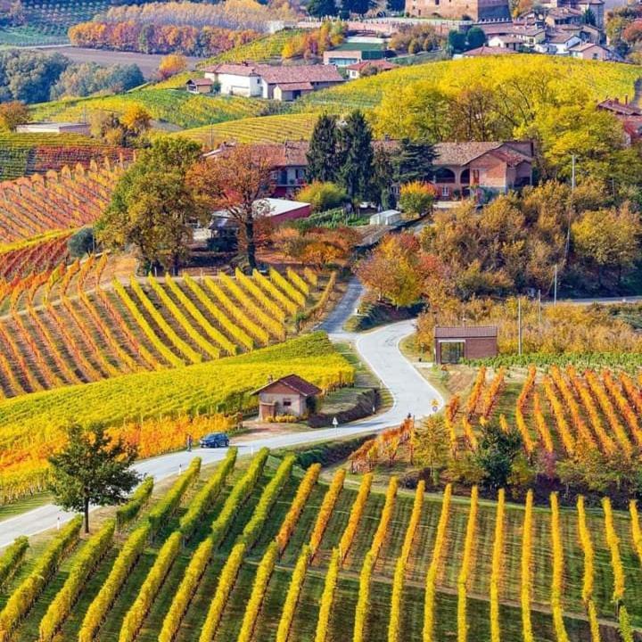L'Angolo Relax La Morra Ngoại thất bức ảnh